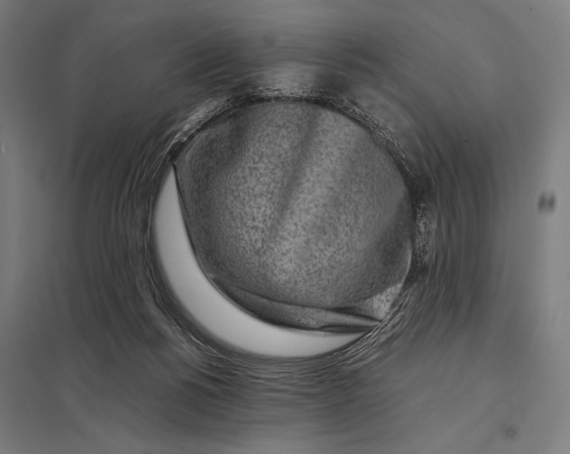 X0000097900168200803281347