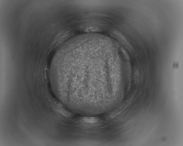 X0000097900169200803281347