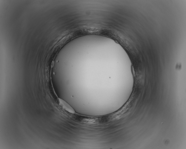 X0000097900170200803281347