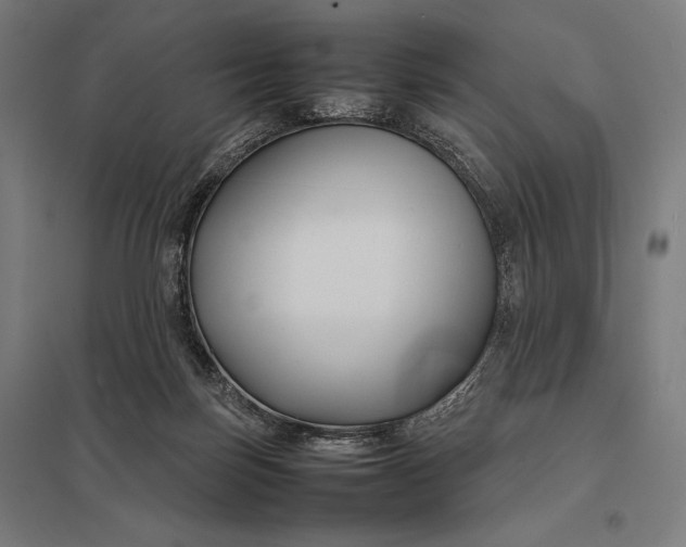 X0000097900171200803281347