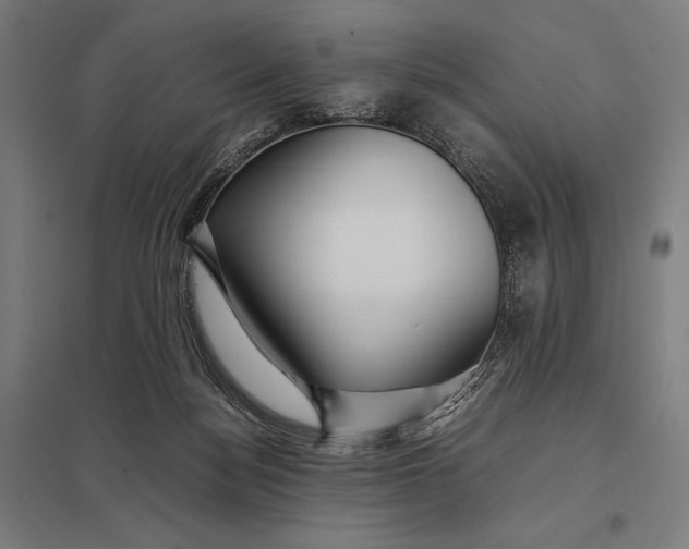 X0000097900172200803281347