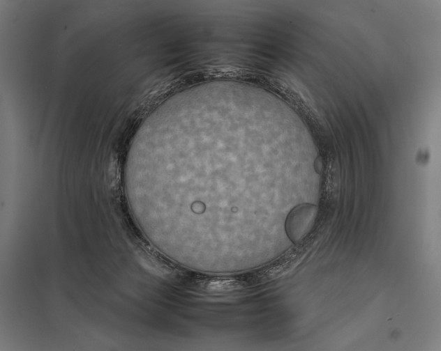 X0000097900173200803281347