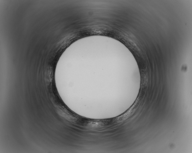 X0000097900174200803281347