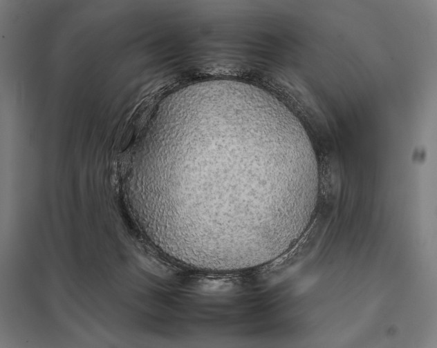 X0000097900175200803281347