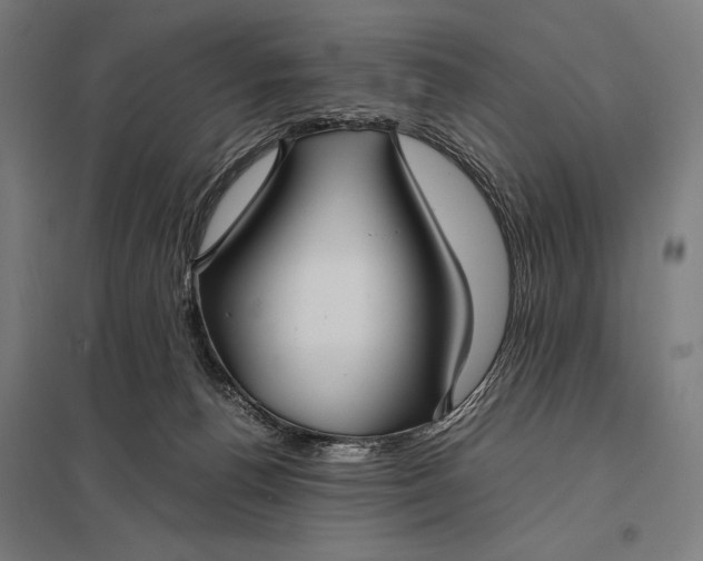 X0000097900176200803281347