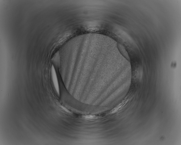 X0000097900180200803281348