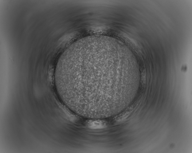 X0000097900181200803281348