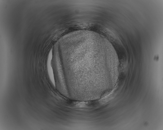 X0000097900182200803281348