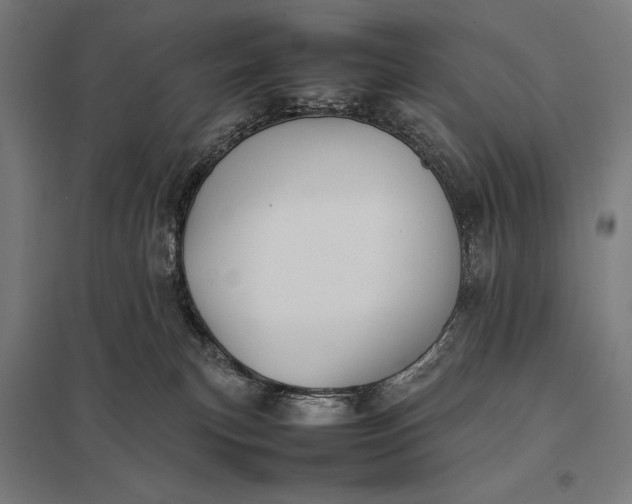 X0000097900183200803281348