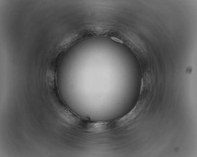 X0000097900184200803281348