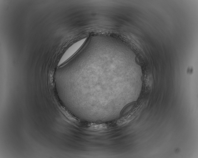 X0000097900185200803281348