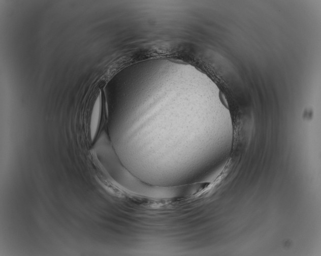 X0000097900186200803281348