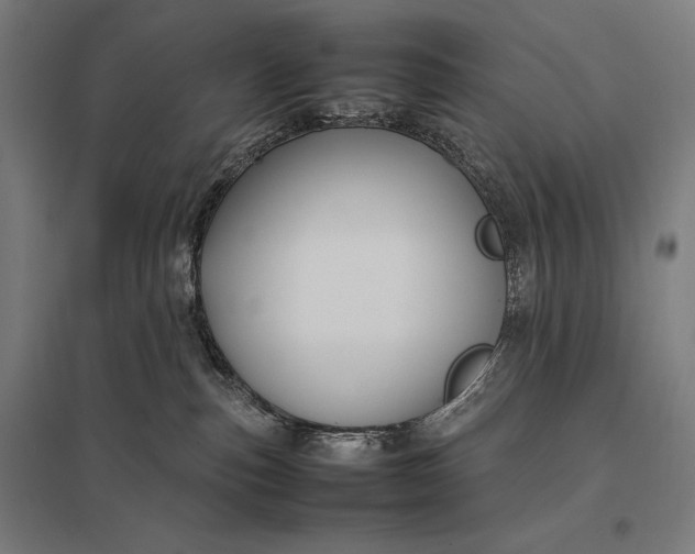 X0000097900187200803281348