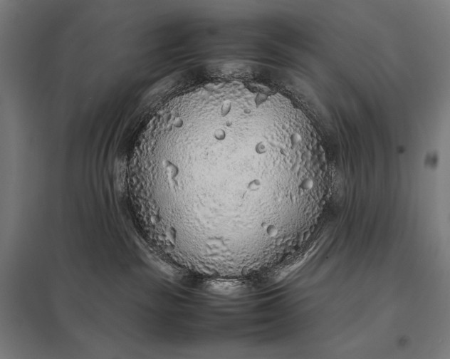 X0000097900189200803281348