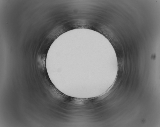 X0000097900190200803281348