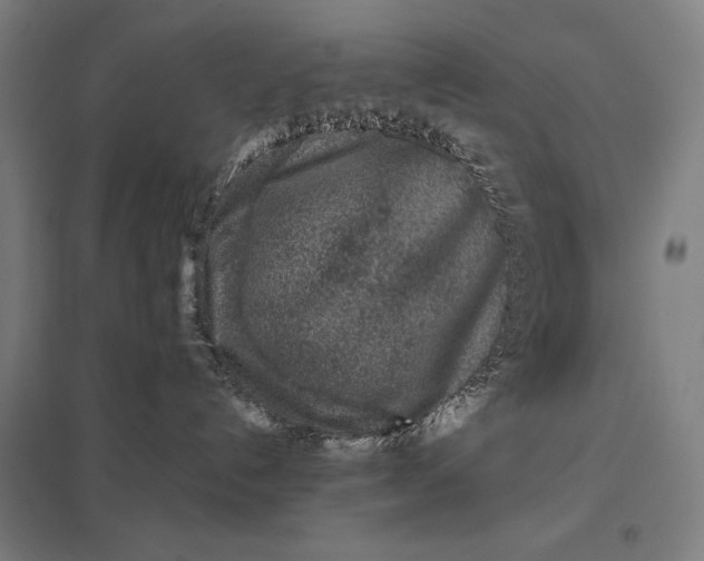 X0000097900192200803281348