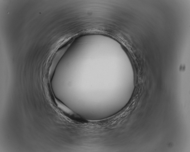 X0000097900193200803281347