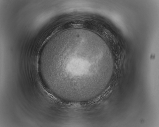 X0000097900194200803281347