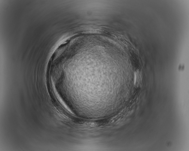 X0000097900195200803281347