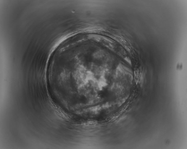 X0000097900196200803281347