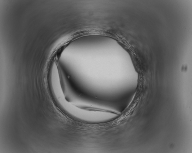 X0000097900197200803281347