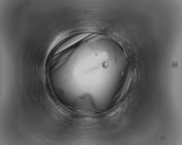 X0000097900198200803281347