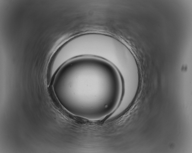 X0000097900199200803281347