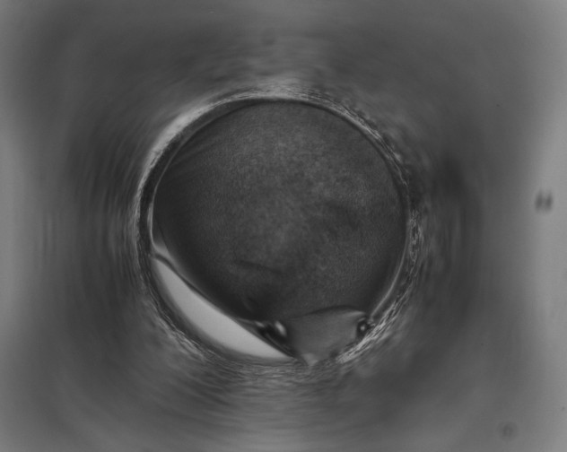 X0000097900200200803281347