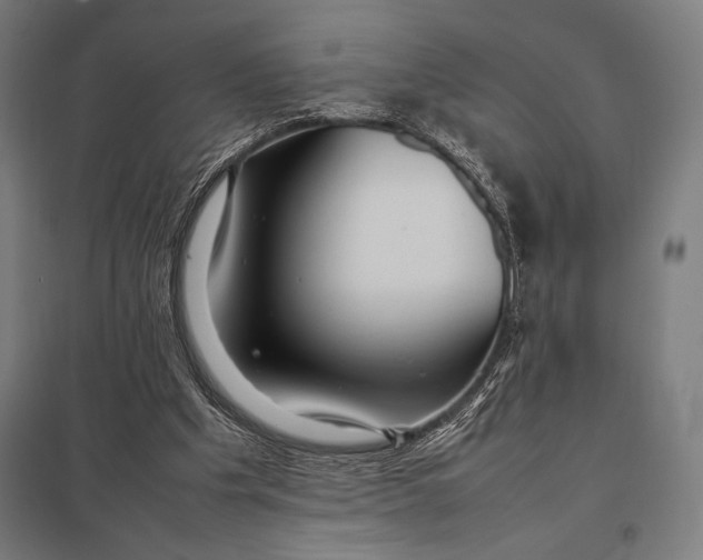 X0000097900201200803281347