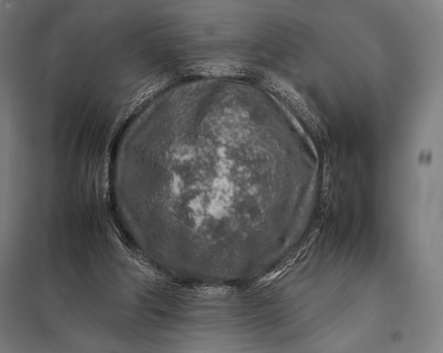 X0000097900202200803281347