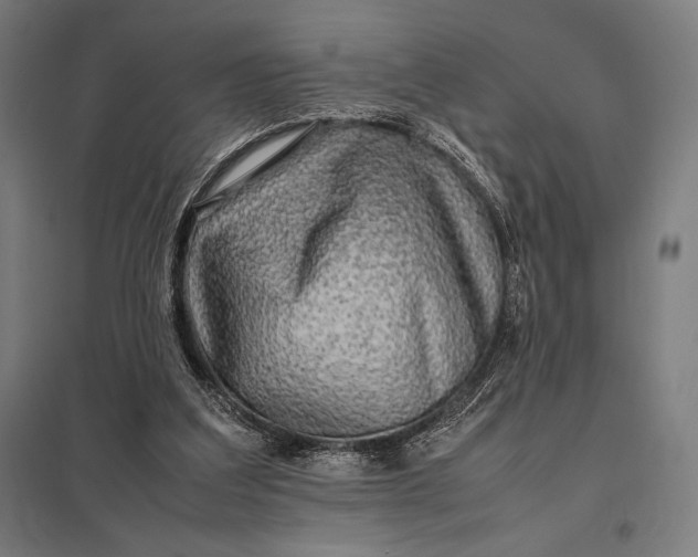 X0000097900203200803281347