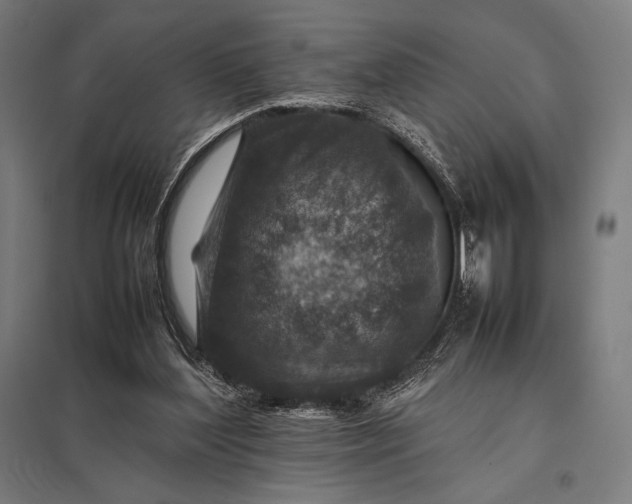 X0000097900204200803281347