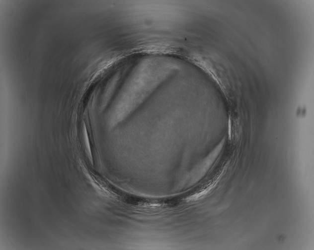 X0000097900205200803281347