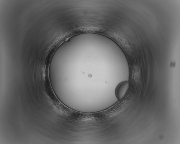 X0000097900206200803281347