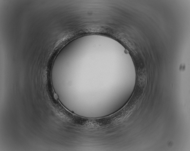 X0000097900207200803281347