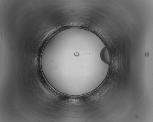 X0000097900208200803281347