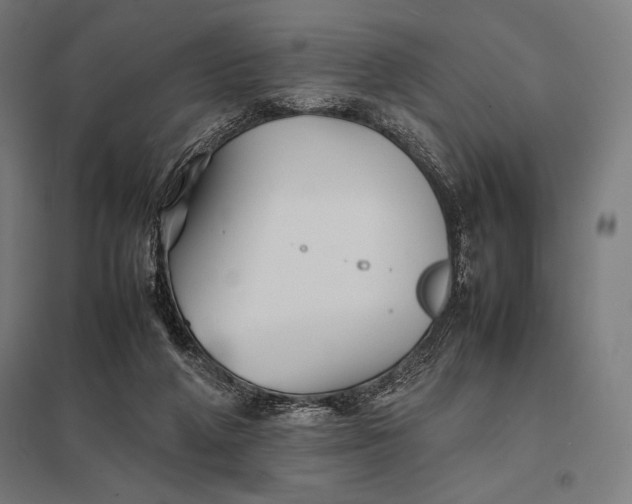 X0000097900210200803281347