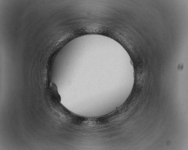 X0000097900211200803281347