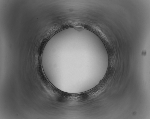 X0000097900213200803281347