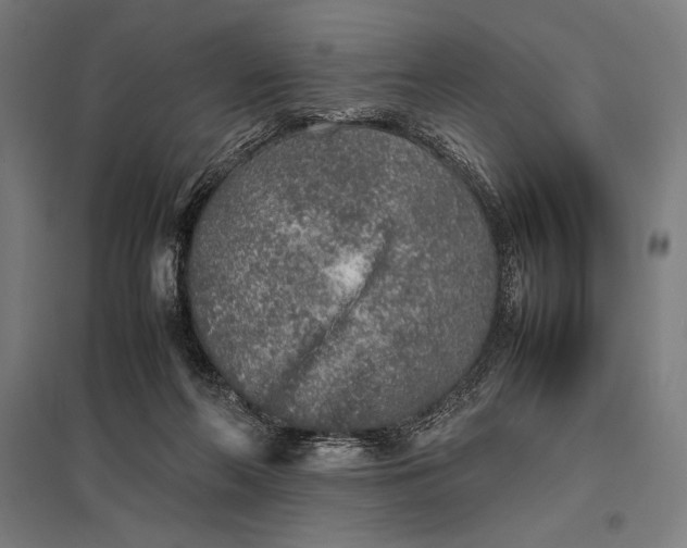 X0000097900214200803281346