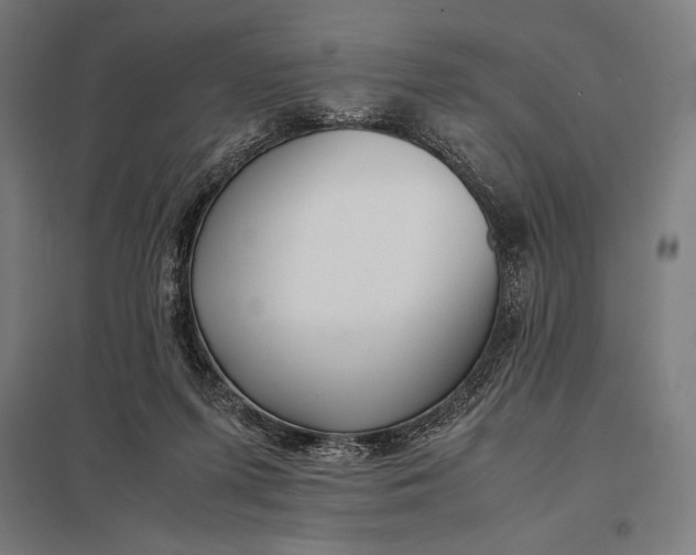 X0000097900215200803281346