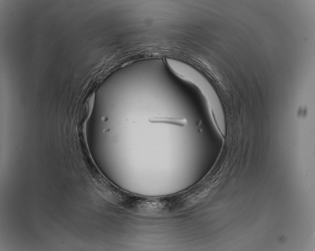 X0000097900217200803281346