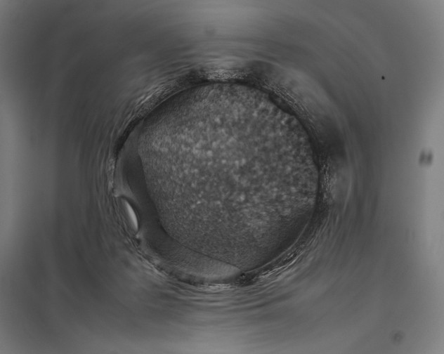 X0000097900219200803281346