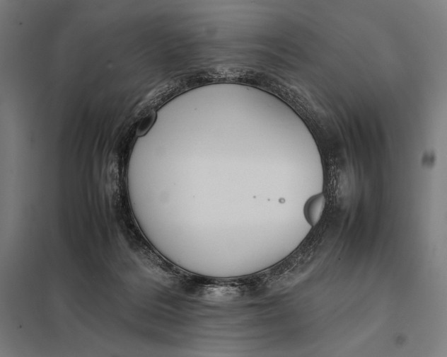 X0000097900220200803281346