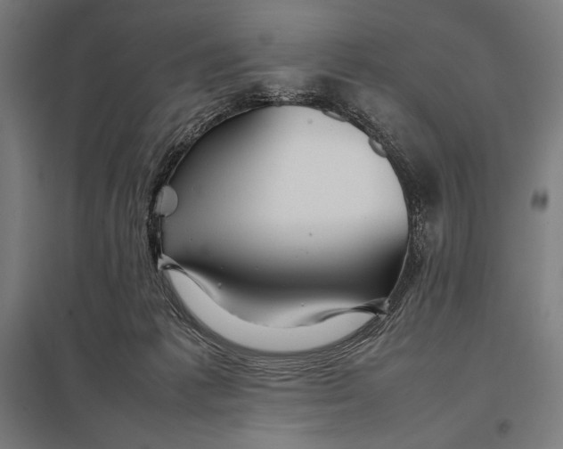 X0000097900221200803281346