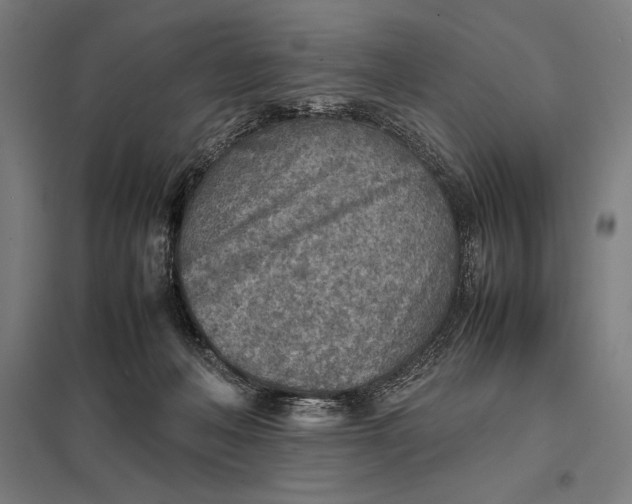 X0000097900222200803281346