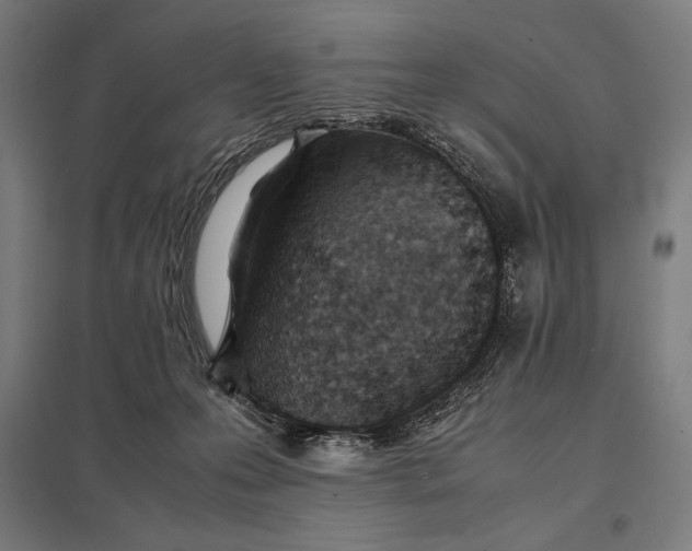 X0000097900223200803281346