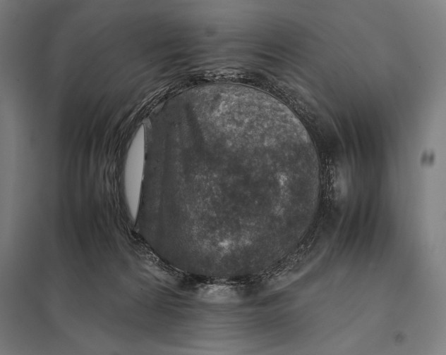 X0000097900224200803281346