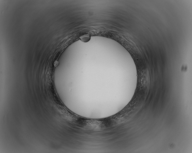 X0000097900226200803281346