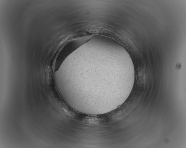 X0000097900228200803281346